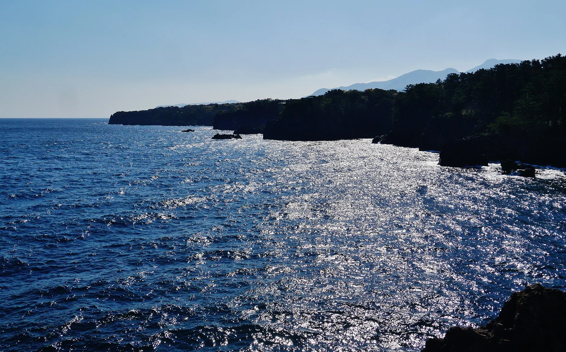 断崖が続く城ヶ崎海岸