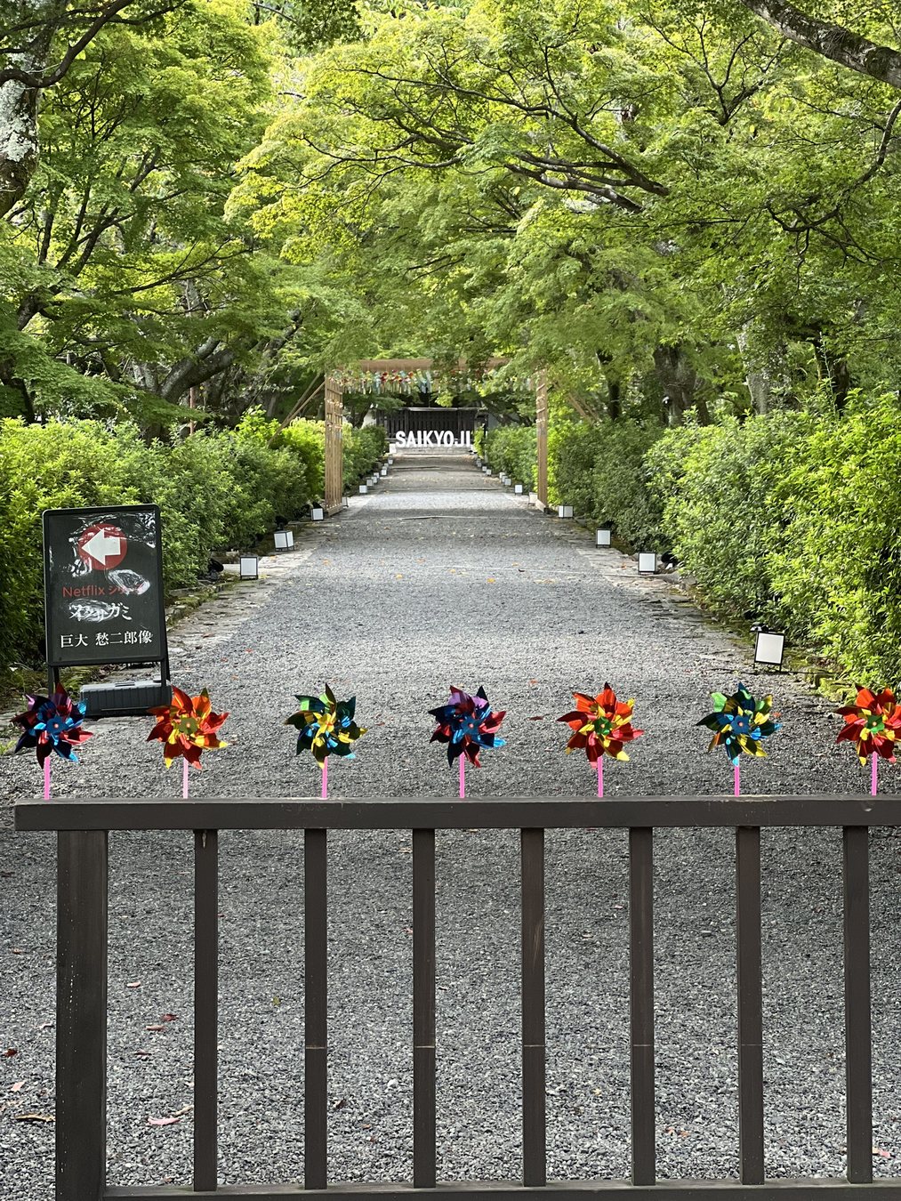 西教寺の参道を歩く半日コース