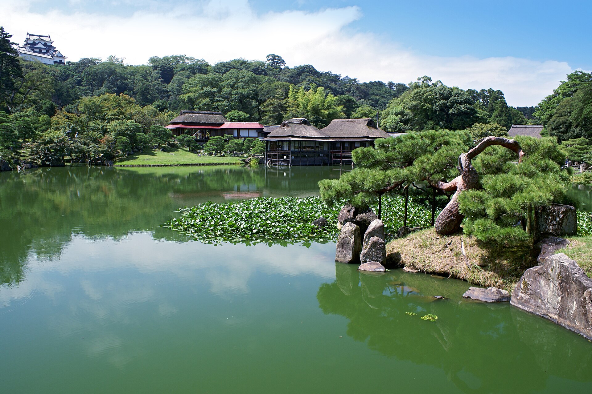 彦根城天守を望む玄宮園