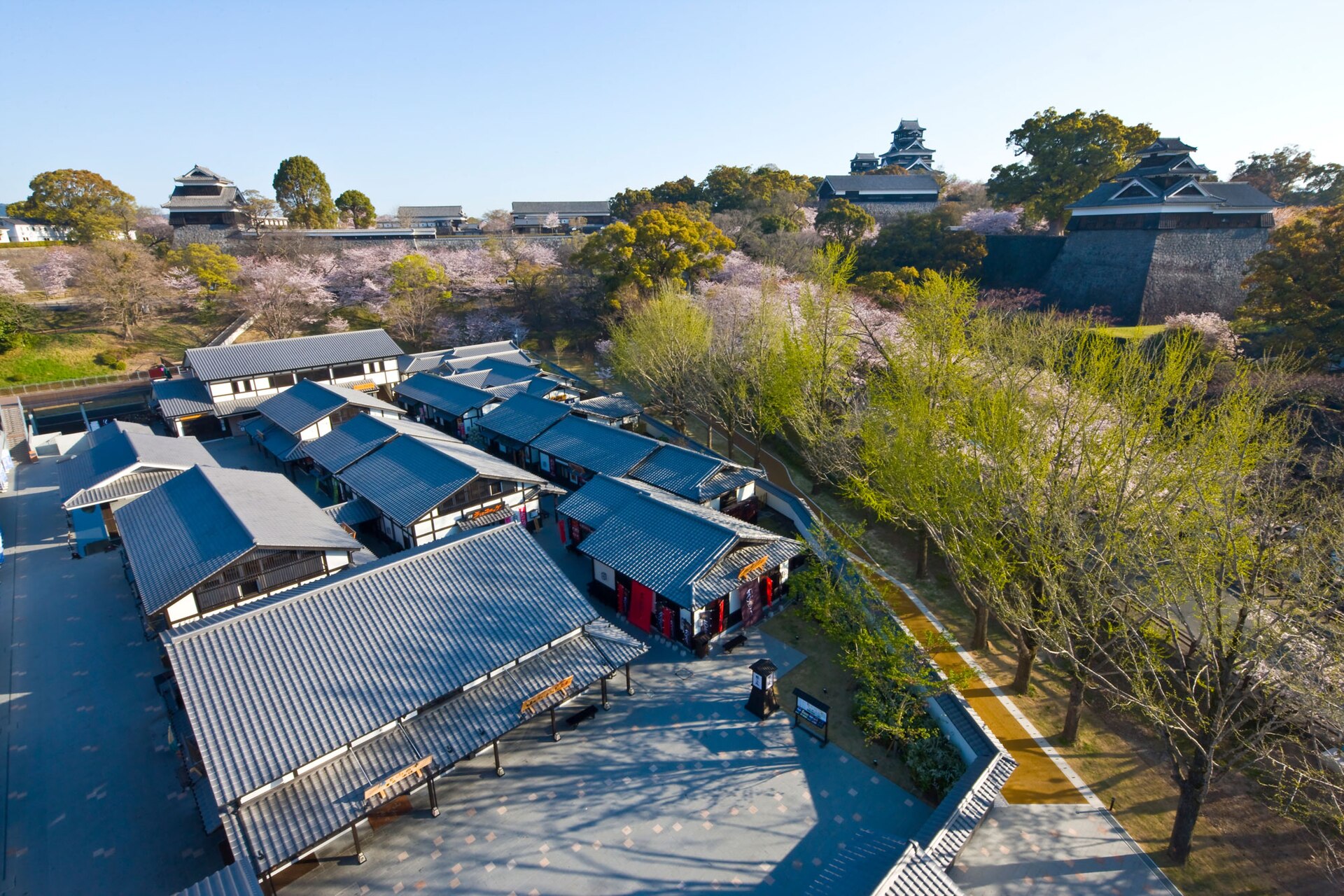 熊本城南側の桜の馬場城彩苑