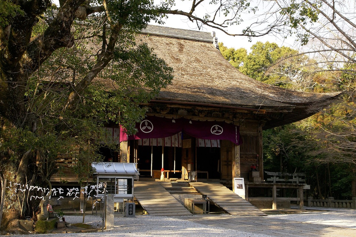 竹林寺の五重塔と境内