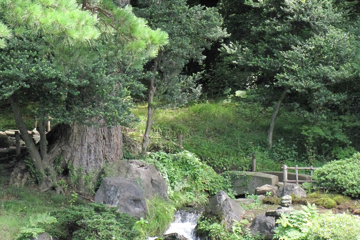 池と庭が広がる会津御薬園