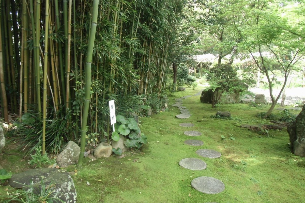 池と植栽が広がる天赦園