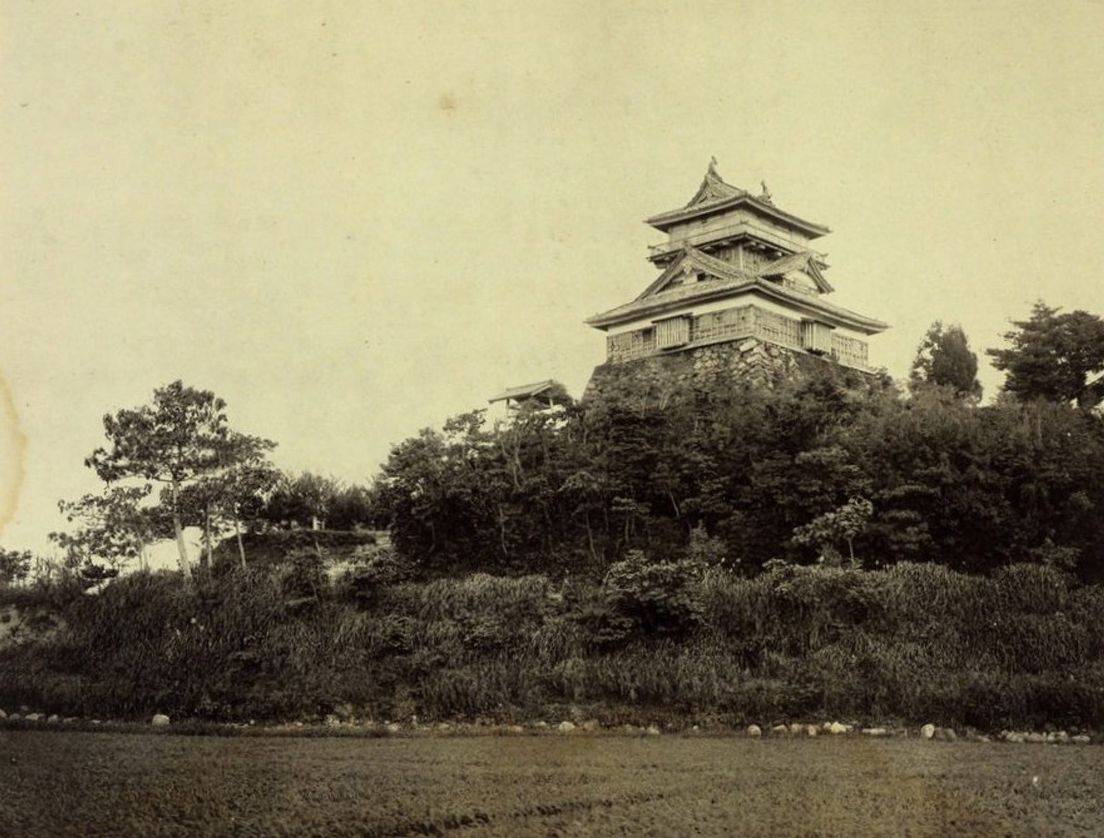 1910年に撮影された丸岡城天守