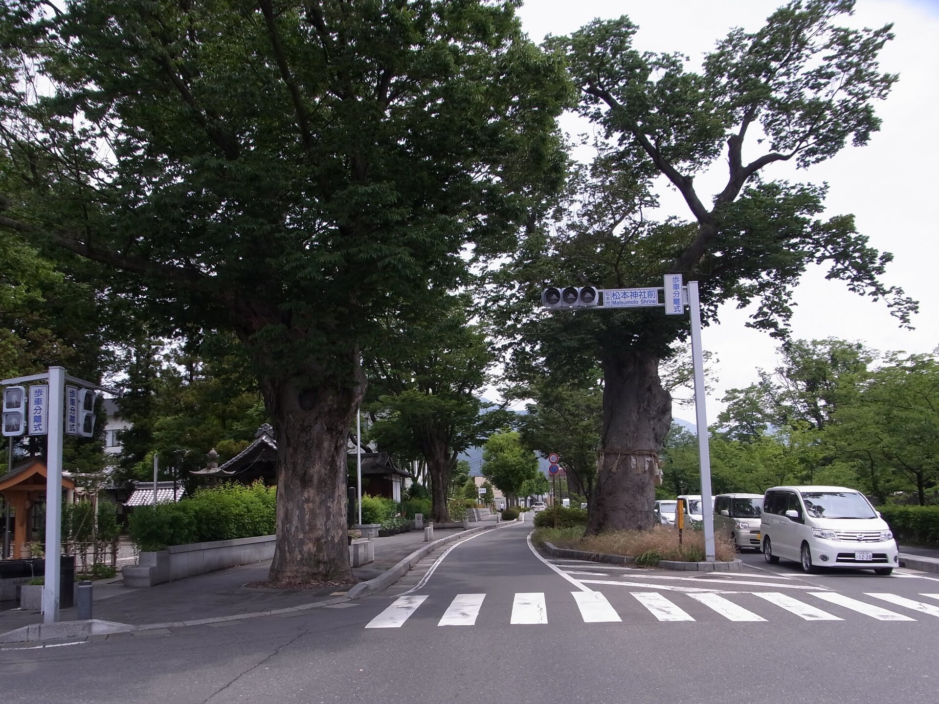 松本神社前井戸のある交差点と神社の木立