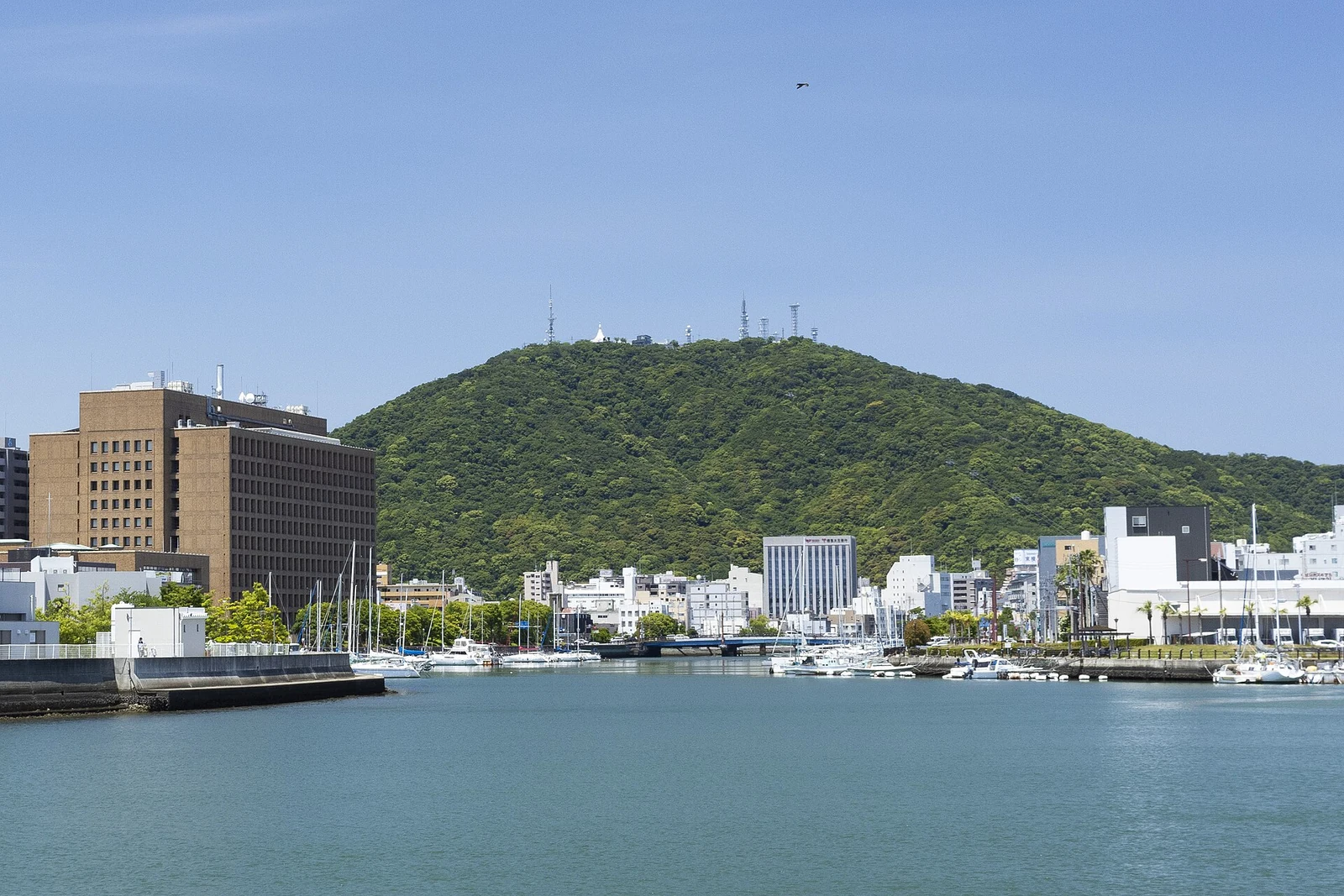 徳島市 阿波おどりの一泊二日旅