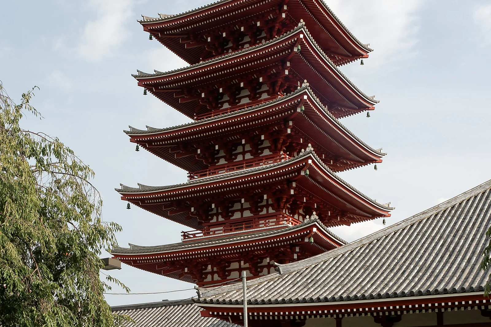 第49回 隅田川花火大会の一泊二日旅