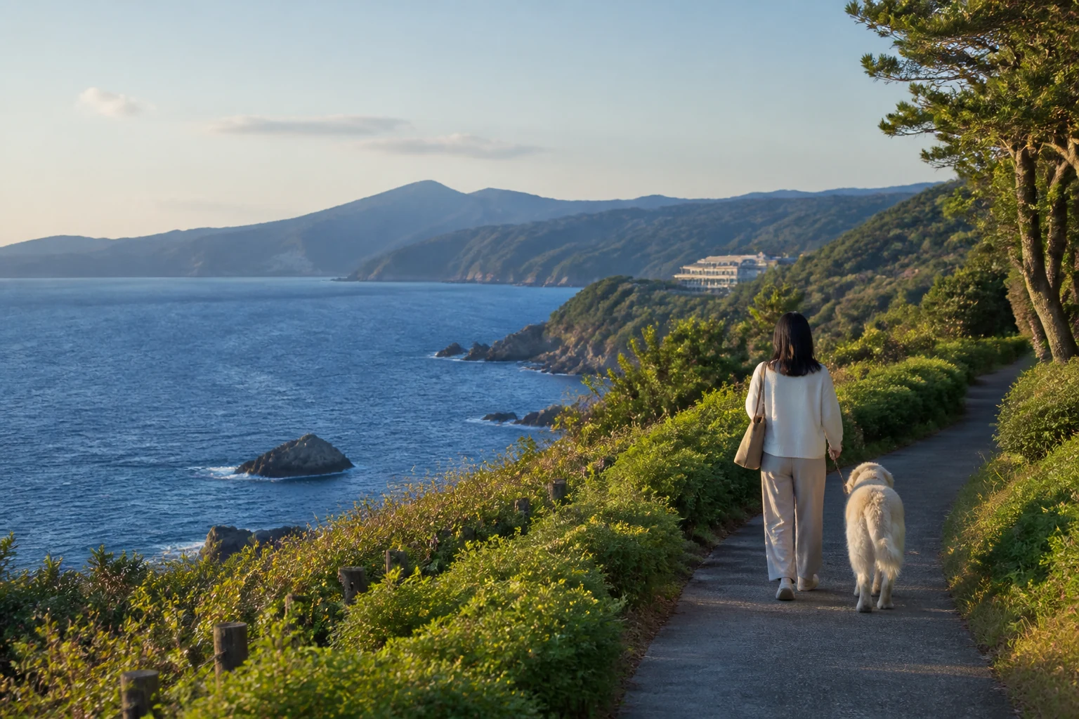 夏の海沿いを歩く犬