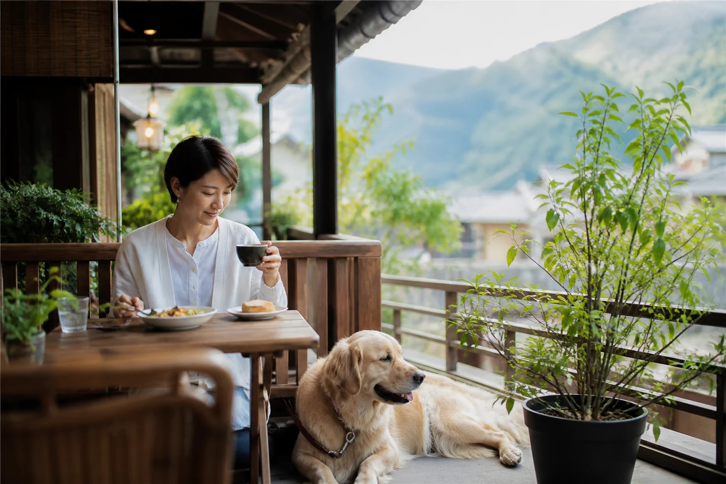 犬と入れるカフェの席